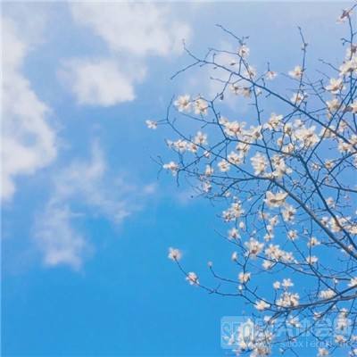 大圣归来2妖王降世手机版下载