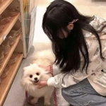 百度版三统天下官方下载